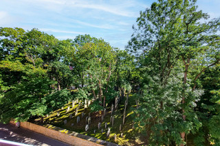 Ausblick straßenseitig