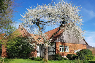 Gartenansicht