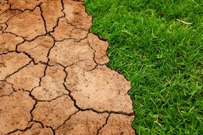 Umwelt- & Klimaschutz