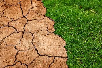 Klimaneutrale Immobilien